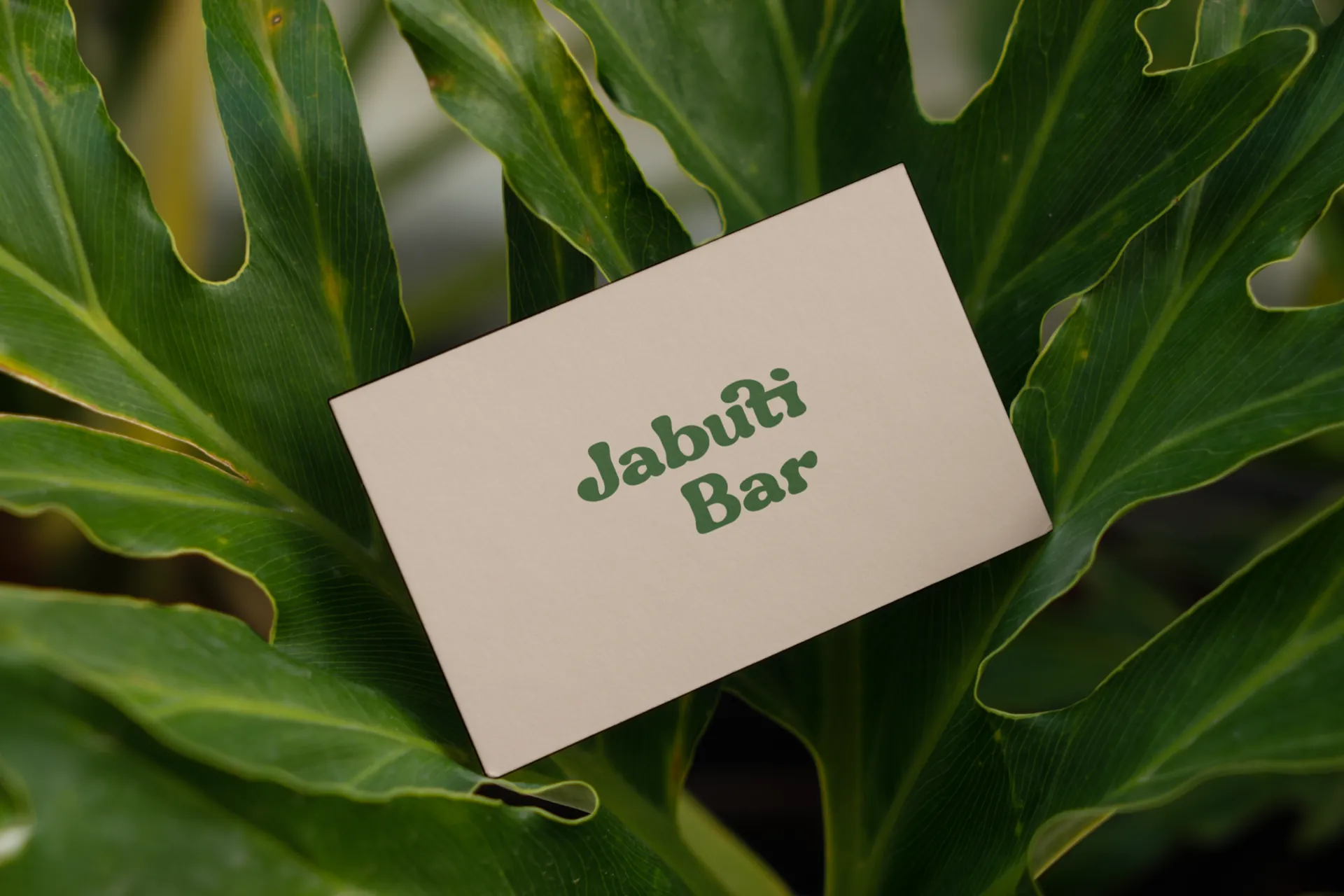 Cream JabutiBar business card on a large leaf