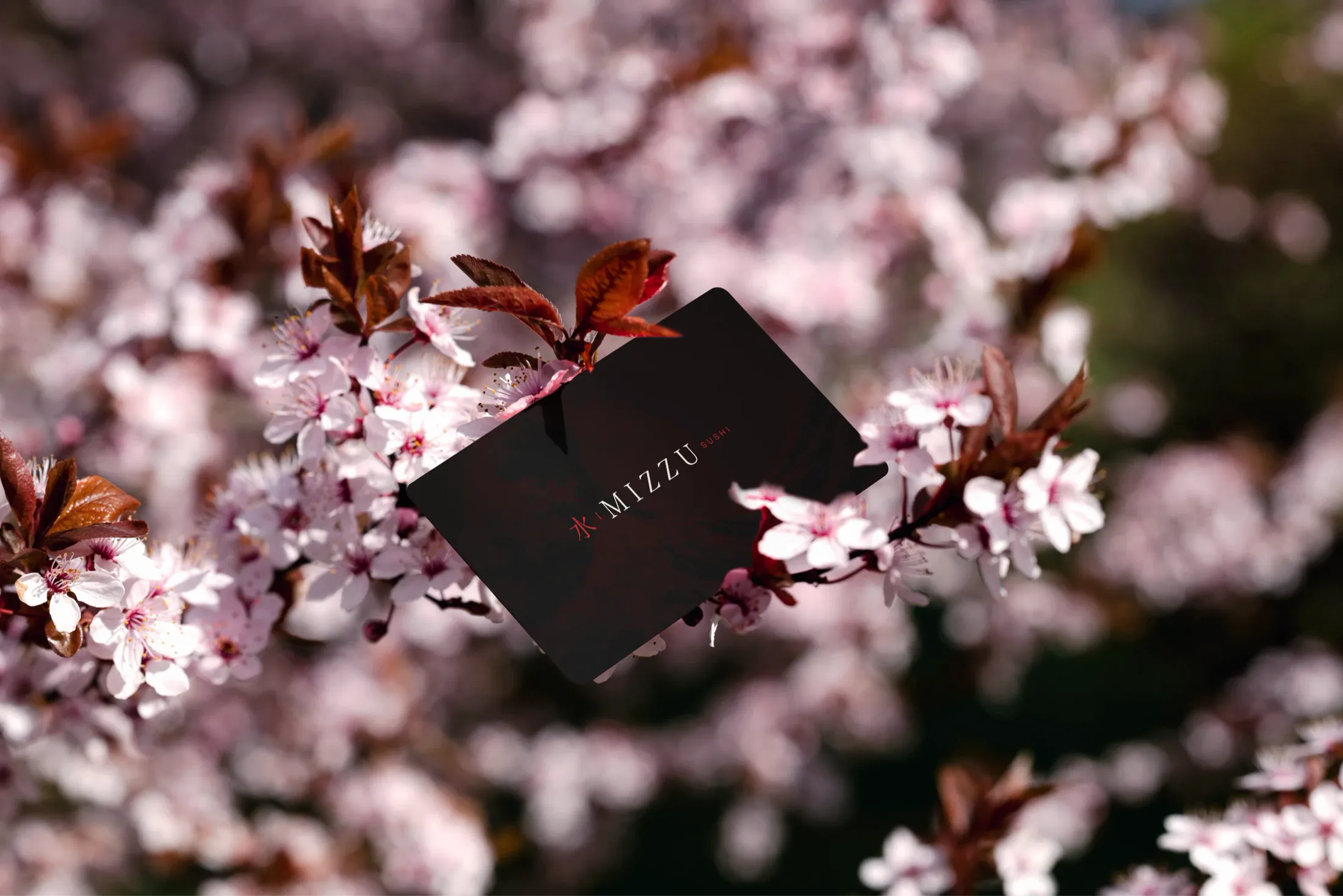 Black Mizzu business card among cherry blossoms